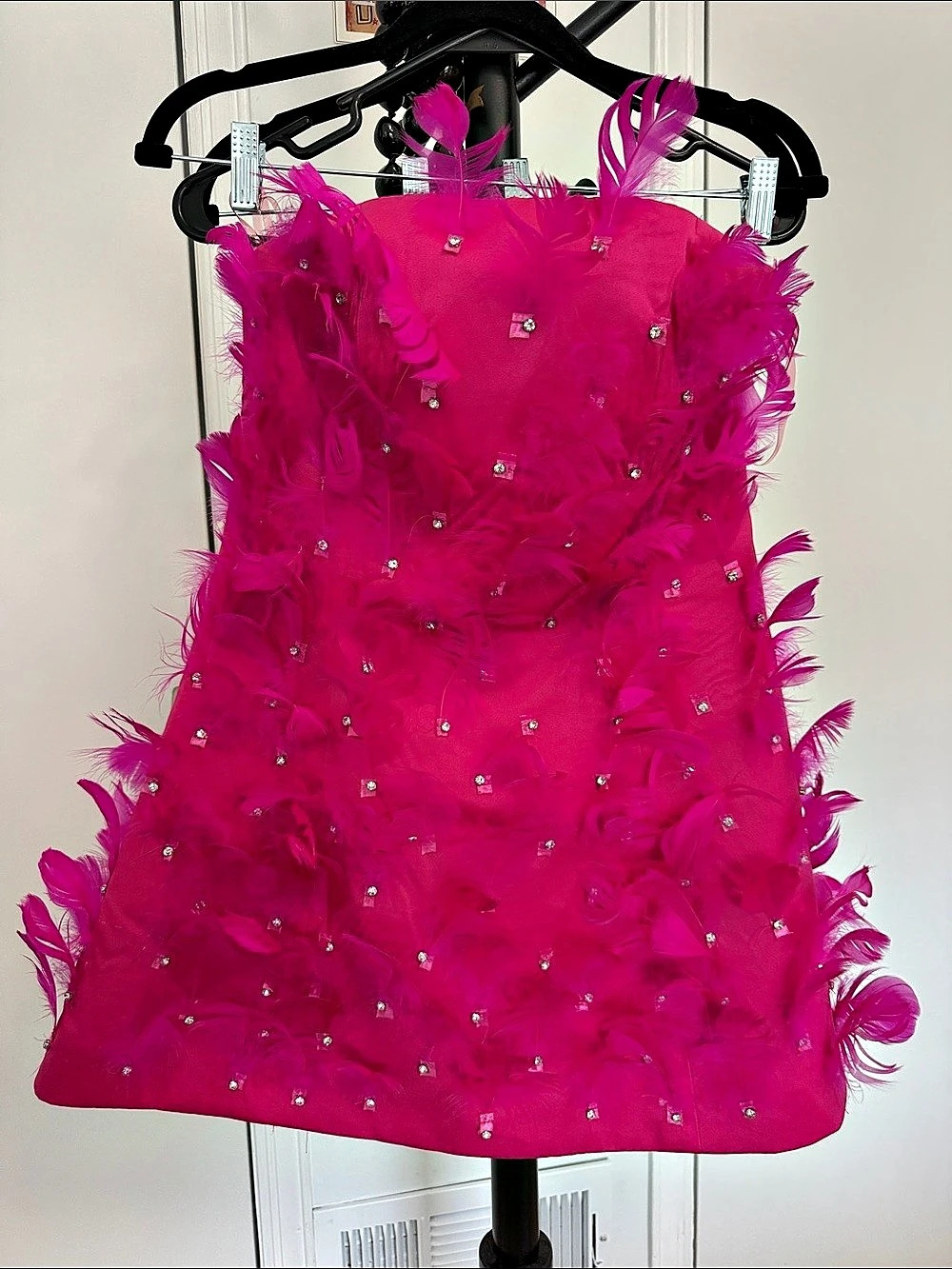 Retrofête Torin Dress Feather Embellished Mini Dress in Pink Like New